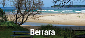 Berrara