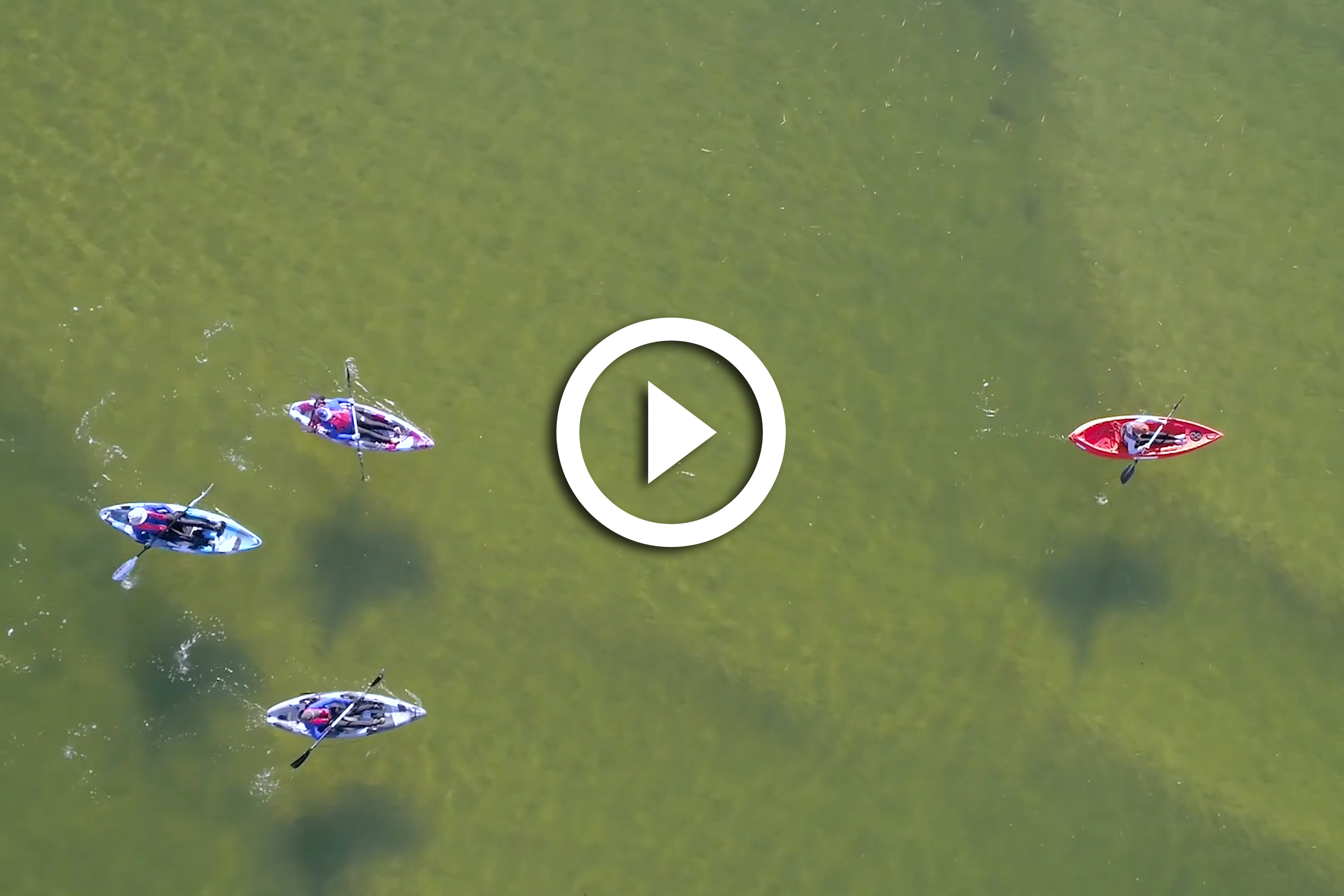 Image is not available